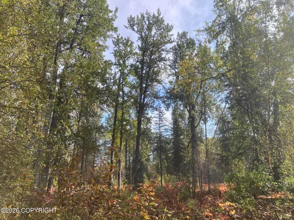Nhn Chase Rd, Talkeetna, AK 99676