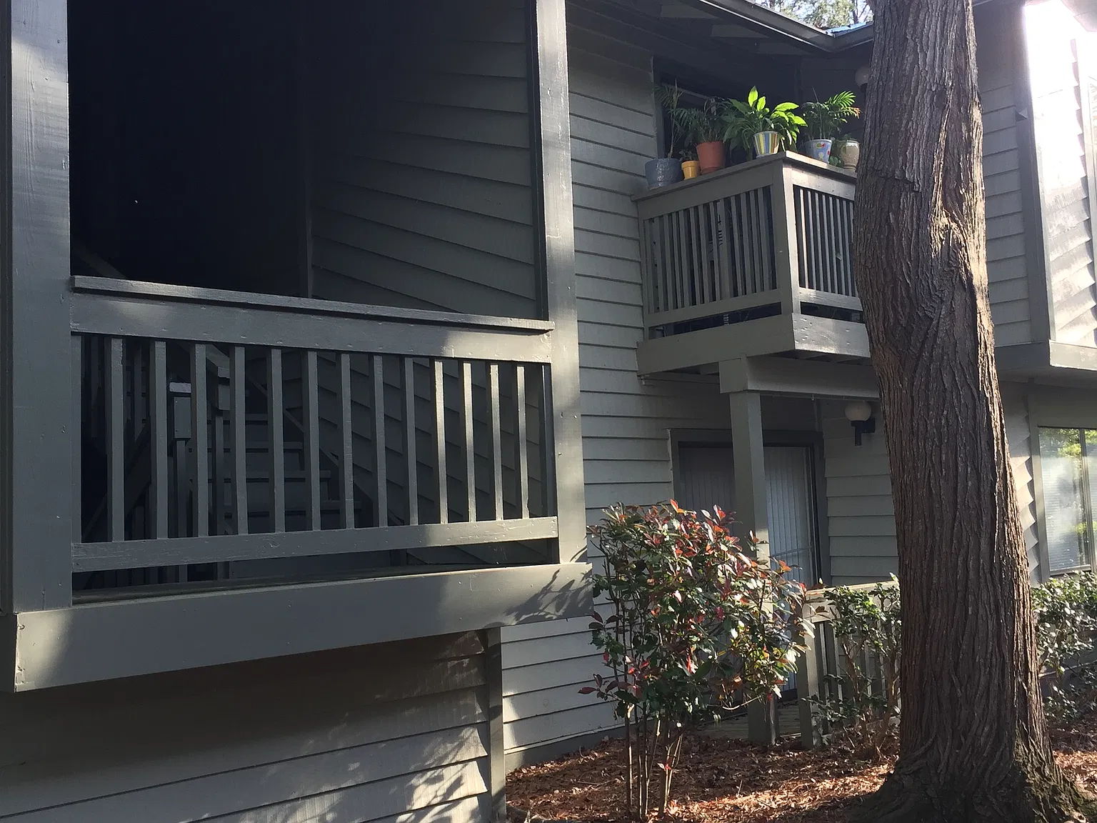 1 bed, 750 sqft, $1,350 — Photo 4