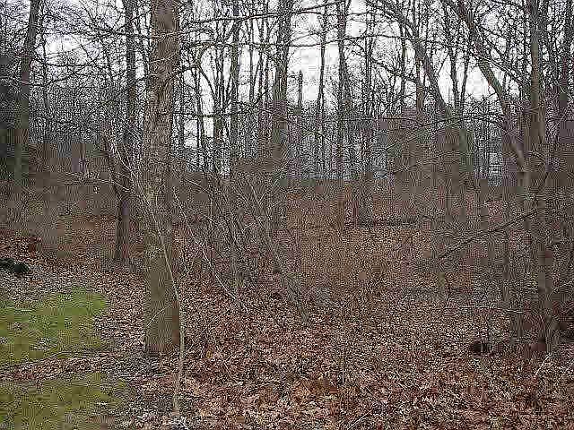 2nd image of 52 Luty Dr