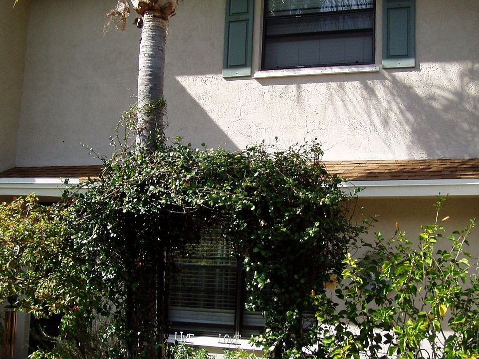 Tropical Landscaping