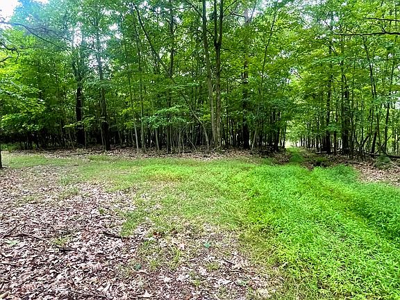 5th image of 7203 Luther Dr