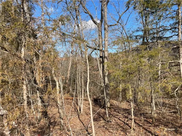 9 Dove Cir #6, Eureka Springs, AR 72631