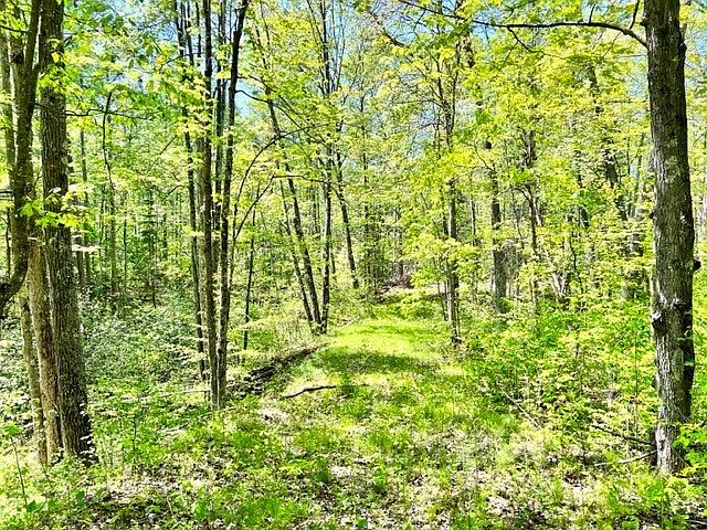 2nd image of 9049 N Ryndak Road
