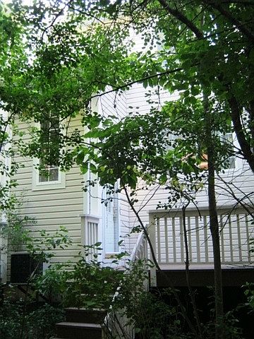 1st image of 254 W Treehouse Ln #39-3