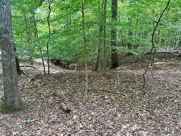 5th image of 8 Woods Ridge Rd