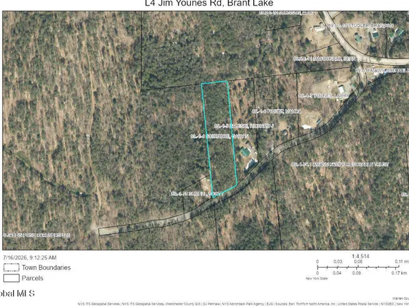 L4 Jim Younes Road, Brant Lake, NY 12815