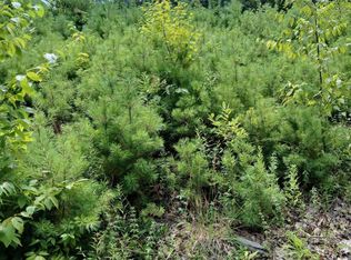 2468 Indian Fields Road, New Scotland, NY 12067