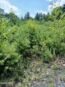 2468 Indian Fields Road, Feura Bush, NY, 12067