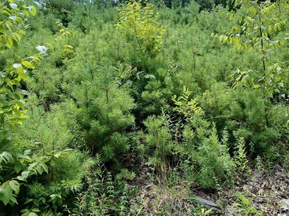 2468 Indian Fields Road, New Scotland, NY 12067