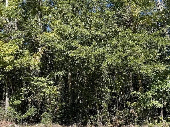 0 Holywoods Rd, Kingstree, SC 29556