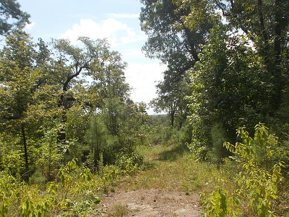 5th image of 9013 Highway 63