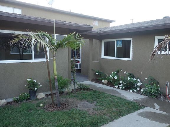 Shared Courtyard with Palm Trees
