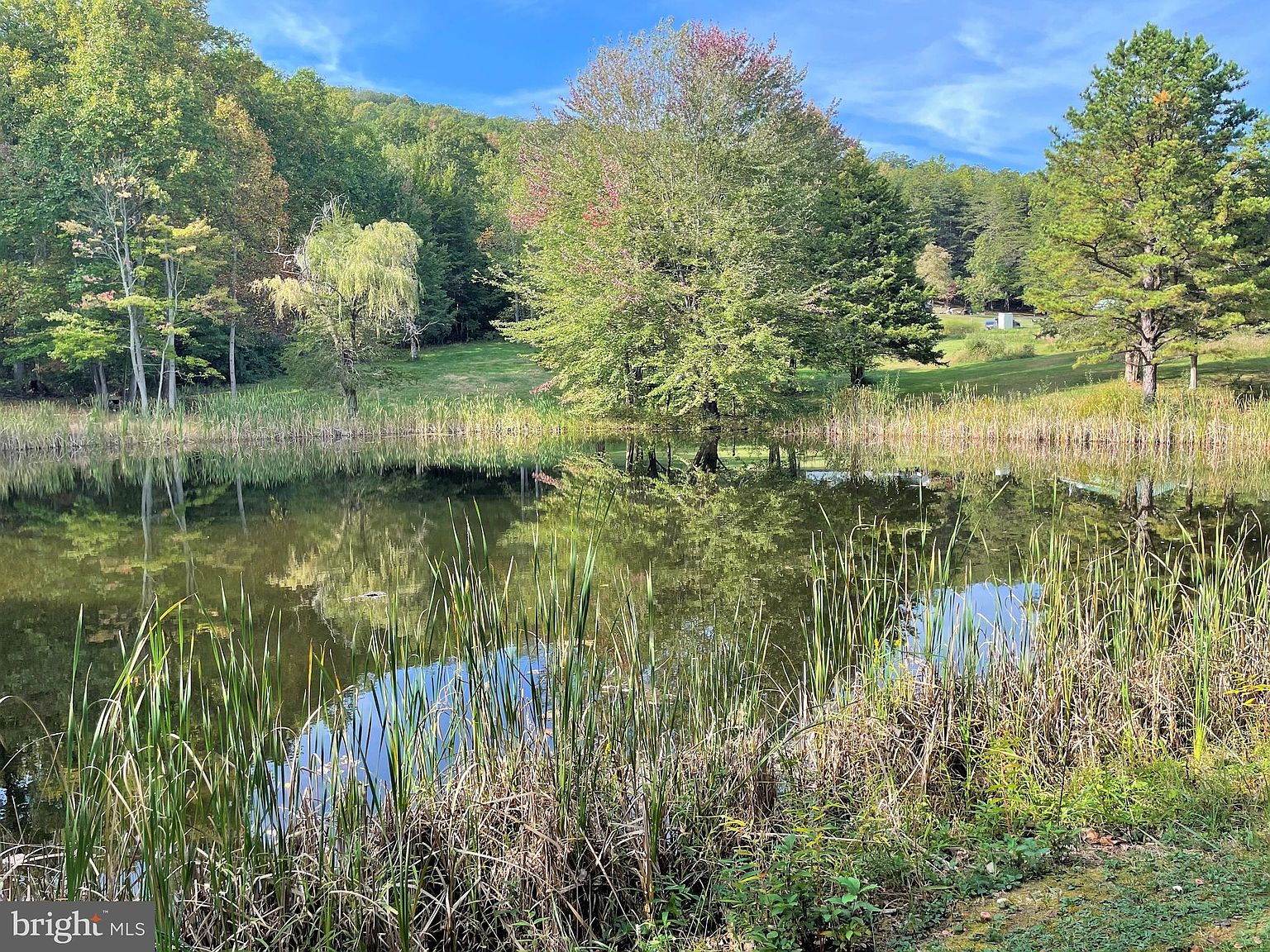 0 Mountain Dr, Fort Valley, VA 22652 Zillow