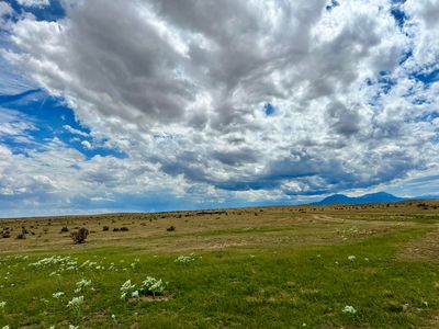255 Colorado Land & Livestock #F, Walsenburg, CO, 81089