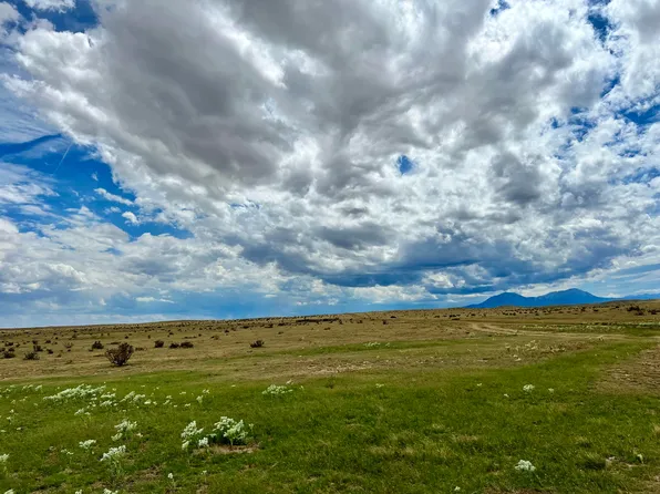 255 Colorado Land & Livestock #F, Walsenburg, CO 81089