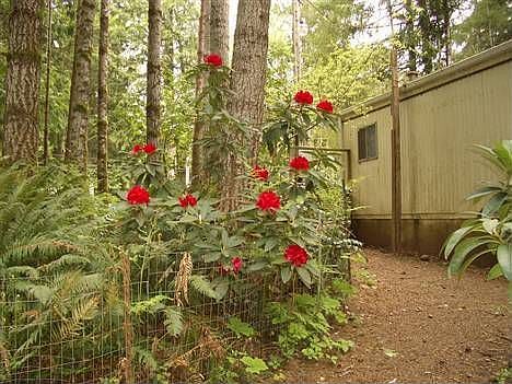 1st image of 111 W Satsop Dr