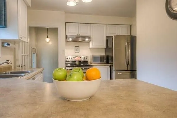 25 Broadleaf Pl #1 — Photo 5