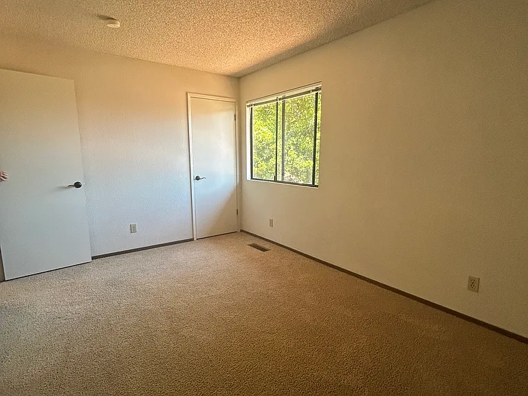 136 Peach Ter — Photo 6