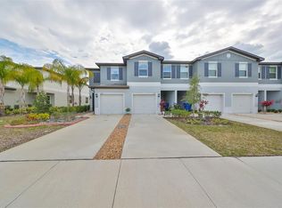23324 Papyrus Way, Lutz, FL 33549