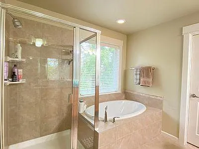 Master bathroom - Shower & Tub
