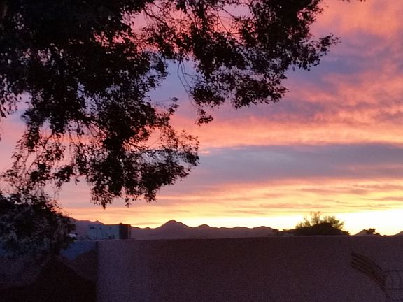 Back yard photo with Privacy