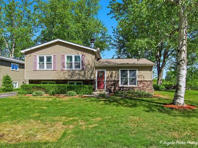 12 Sunshine Ave, Grayslake, IL, 60030