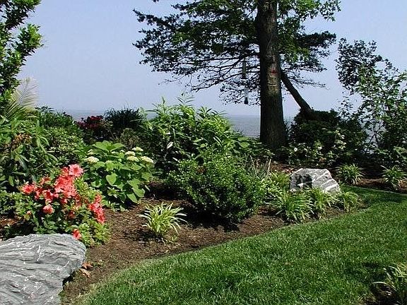 Beautifully Landscaped