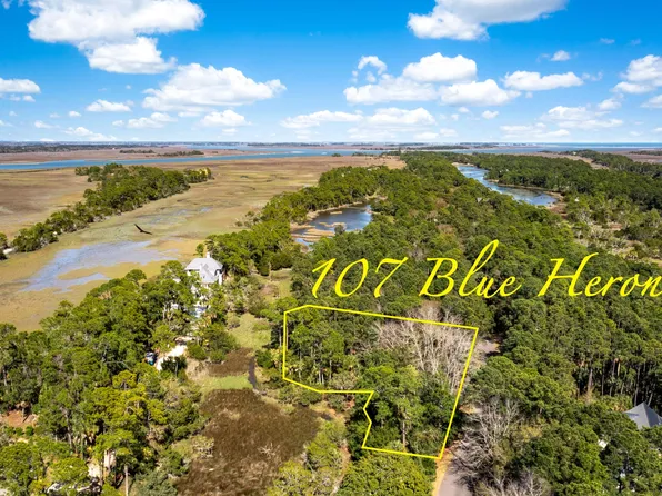 107 Blue Heron Pond Rd, Johns Island, SC 29455