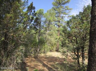 740 E Whipple St, Show Low, AZ 85901