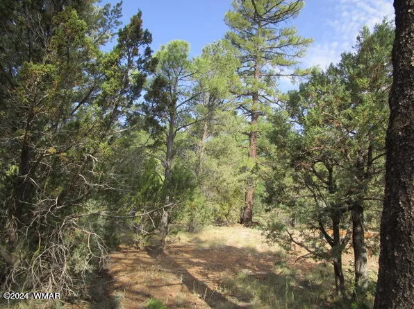 740 E Whipple St, Show Low, AZ 85901