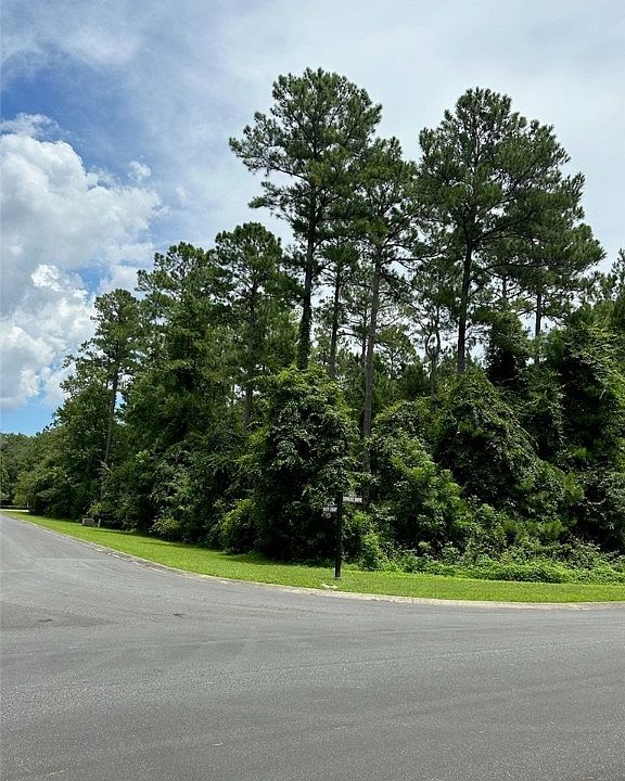 V/l 173a Misty Hbr, Woodbine, GA 31569 MLS 1641051 Zillow