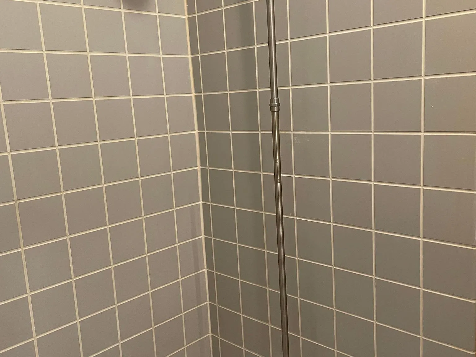 1 bed, 750 sqft, $950 — Photo 4