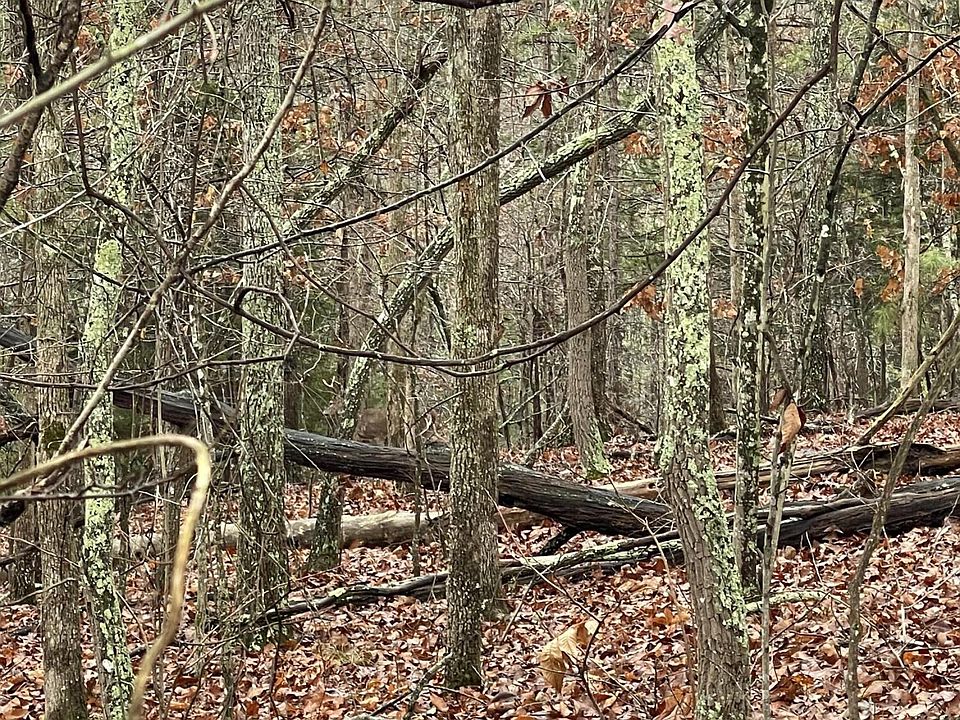 1st image of 157 Vinita Ln