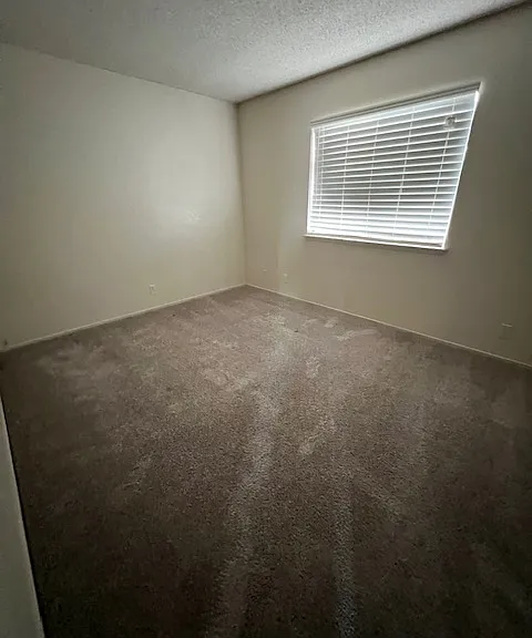 345 S Sunset St #B — Photo 10