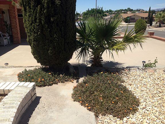 No Hassle Landscaping