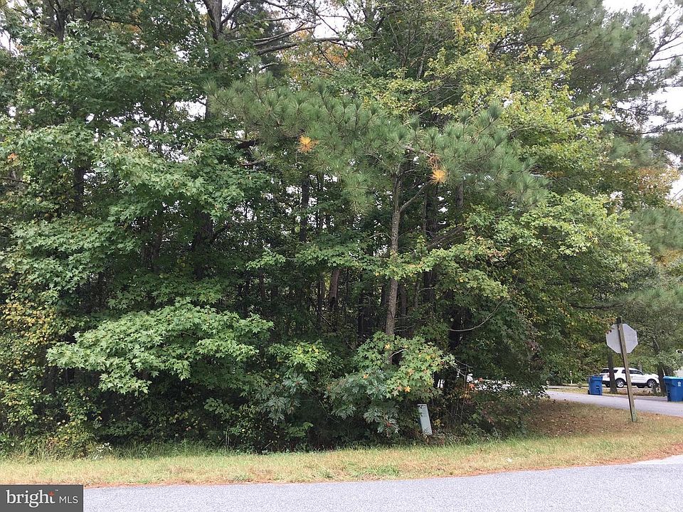 2nd image of 1 Laurel Trl