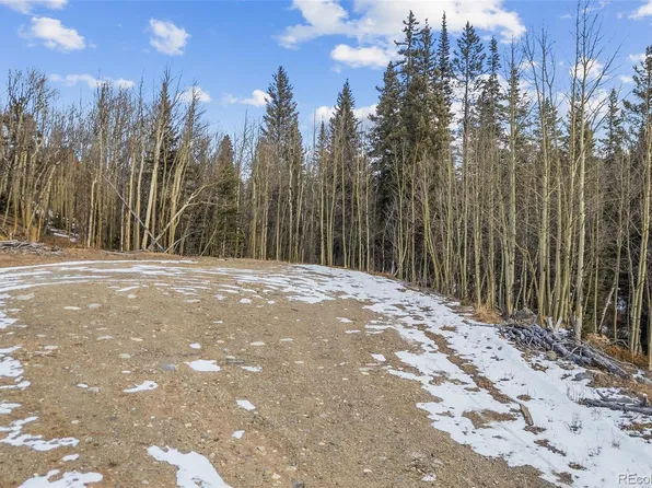 131 Aspen Street LOT 26, Alma, CO 80420