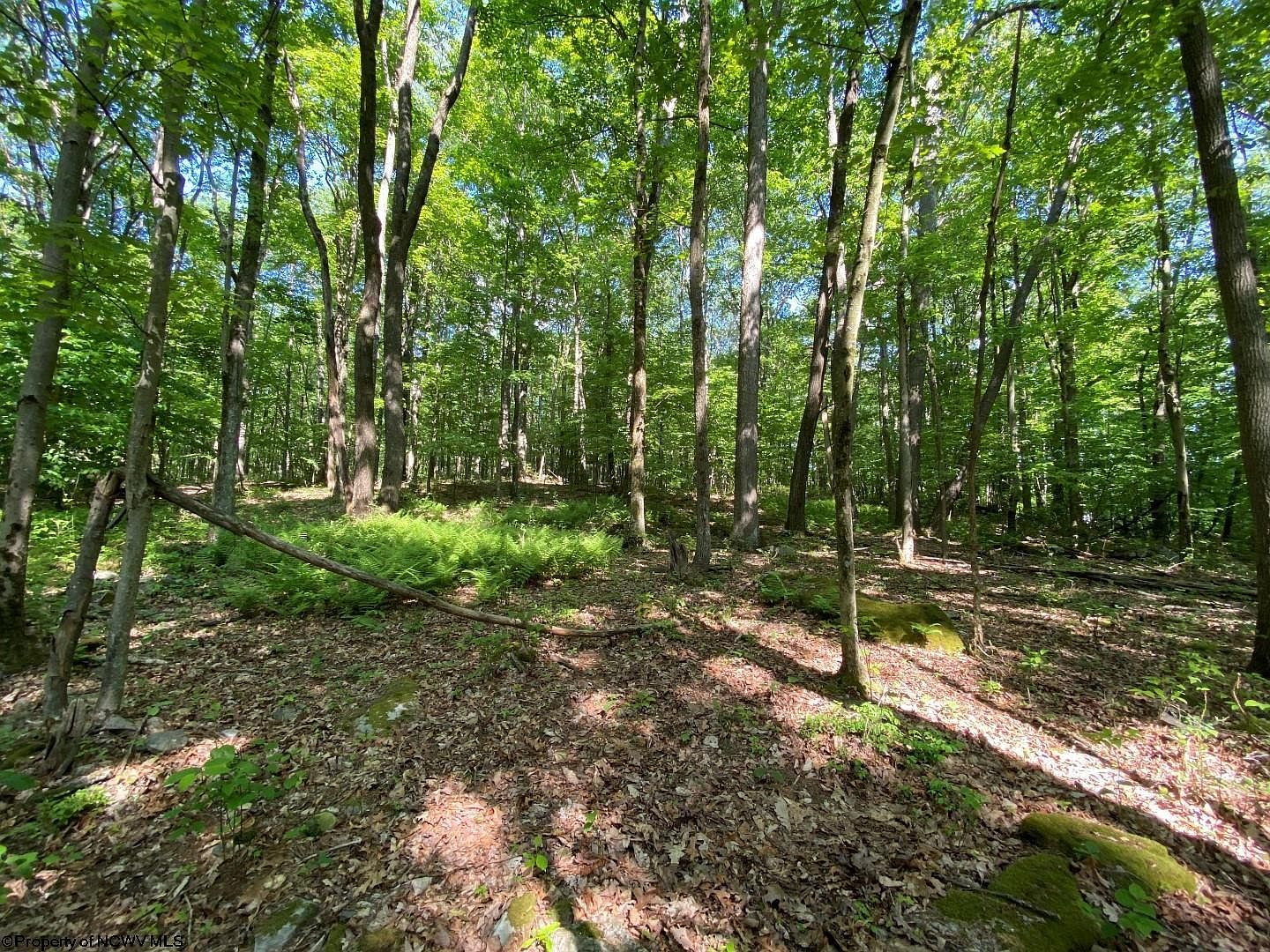 TRACT Halleck Rd C, WV 26508 MLS 10149320 Zillow