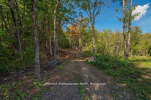 5th image of 1677 Hospitality Rd