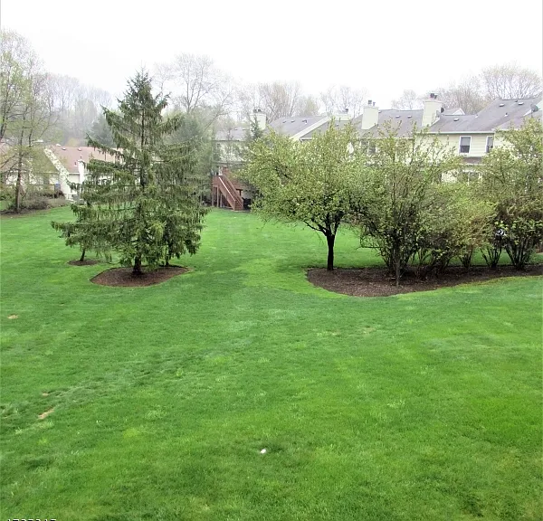 50 Carriage Ln — Photo 8