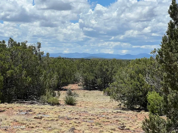County Road 8309, Concho, AZ 85924