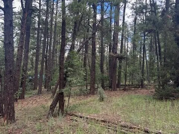 118 E Bonanza Rd, Pinetop, AZ 85935