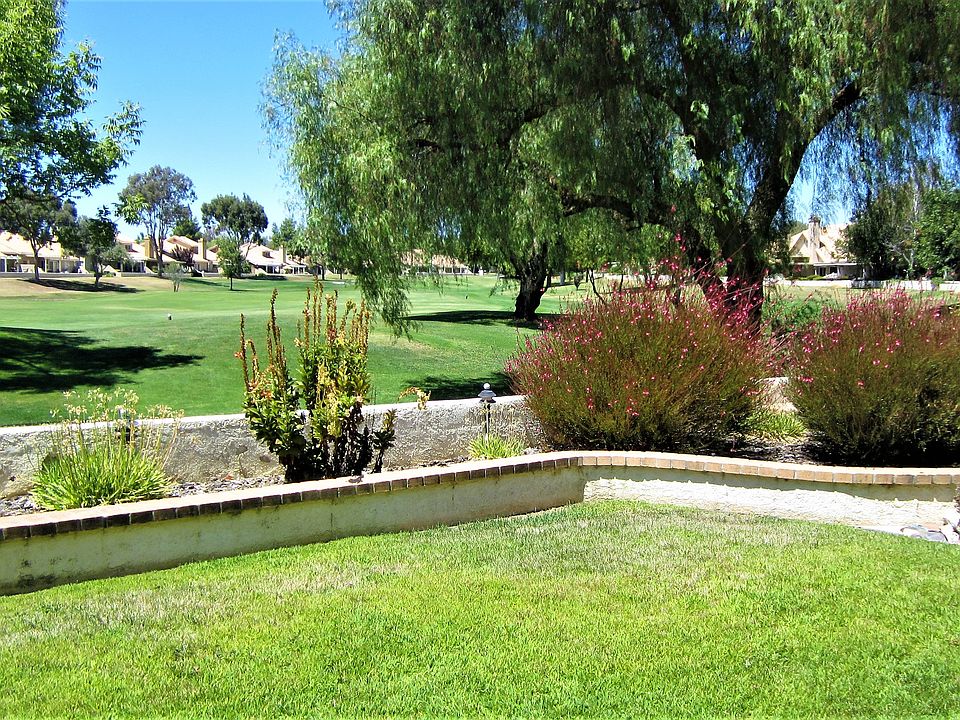 YOUR BACK YARD