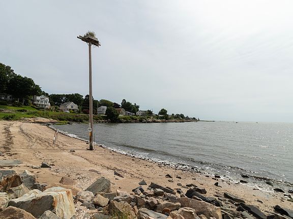 2nd image of 77 Reeves Ave