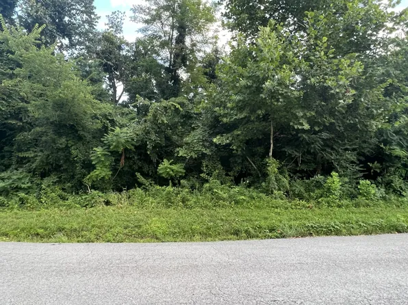 0 Mount Herman Rd, Petersburg, TN 37144