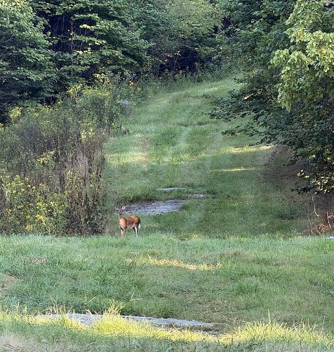 1st image of Tbd Caney Valley Rd