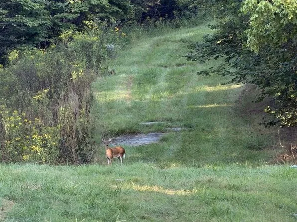Tbd Caney Valley Rd, Bristol, VA 24202