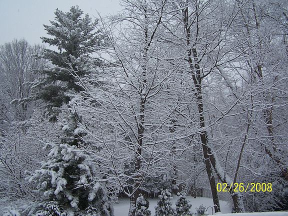 Winter views from the dining area