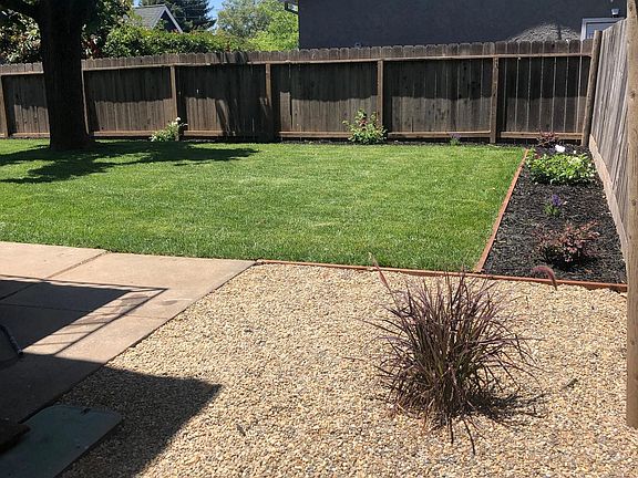 Shared backyard also has a peach tree