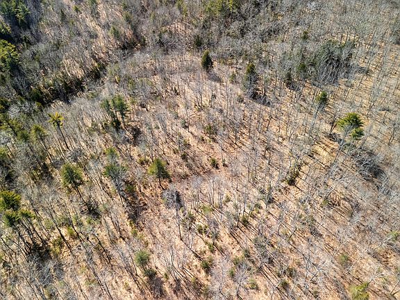 5th image of 00 Middle Road